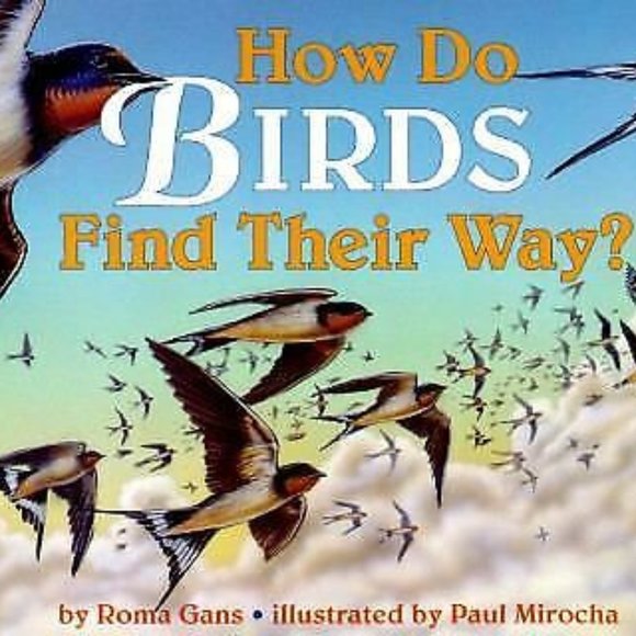 How Do Birds Find Their Way? - Picture 1 of 1